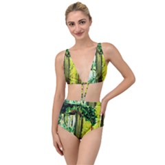 Old Tree And House With An Arch 8 Tied Up Two Piece Swimsuit by bestdesignintheworld