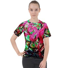 Flamingo   Child Of Dawn 9 Women s Sport Raglan Tee