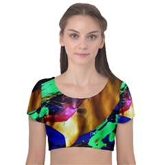 Global Warming 9 Velvet Short Sleeve Crop Top  by bestdesignintheworld