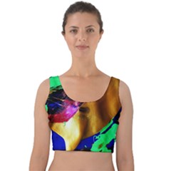 Global Warming 9 Velvet Crop Top by bestdesignintheworld