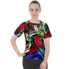 Lillies In The Terracotta Vase 3 Women s Sport Raglan Tee