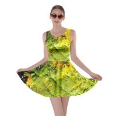 Yellow Chik 5 Skater Dress by bestdesignintheworld