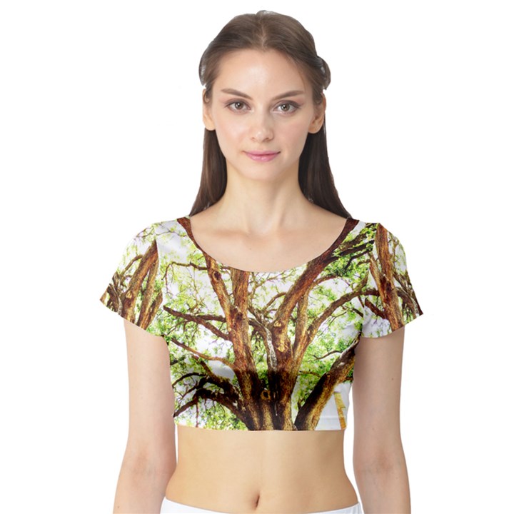 Hot Day In Dallas 14 Short Sleeve Crop Top