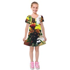 July 1 2 Kids  Short Sleeve Velvet Dress