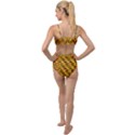 RBY-B-9-7 Tied Up Two Piece Swimsuit View2