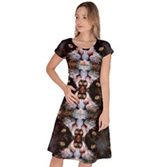 Cats7 Classic Short Sleeve Dress