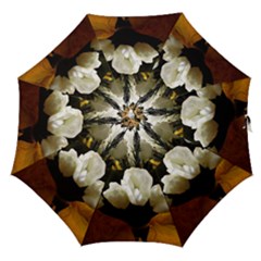 Tulips 1 3 Straight Umbrellas by bestdesignintheworld