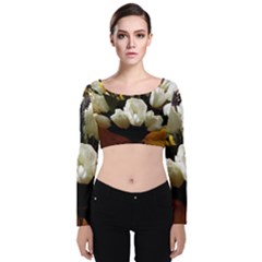 Tulips 1 3 Velvet Long Sleeve Crop Top by bestdesignintheworld