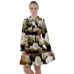 Tulips 1 3 All Frills Chiffon Dress