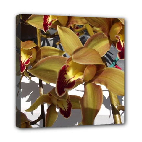 Orchids  1 1 Mini Canvas 8  X 8  (stretched) by bestdesignintheworld