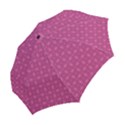 DF Calliandra Folding Umbrellas View2