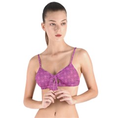 Df Calliandra Tie Up Cut Bikini Top by deformigo