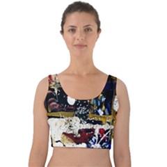 Fairy Tooth 1 1 Velvet Crop Top