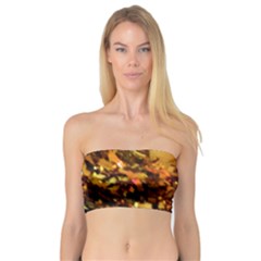 Christmas Tree  1 1 Bandeau Top by bestdesignintheworld