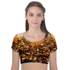 Christmas Tree  1 1 Velvet Short Sleeve Crop Top  by bestdesignintheworld