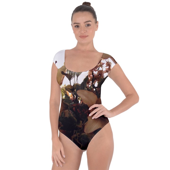 Lilies 1 1 Short Sleeve Leotard 