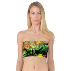 Revelation 1 2 Bandeau Top by bestdesignintheworld