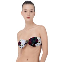 Roses 1 2 Classic Bandeau Bikini Top 