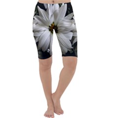 Daisies Cropped Leggings  by bestdesignintheworld