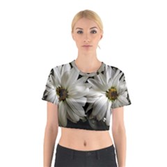 Daisies Cotton Crop Top by bestdesignintheworld