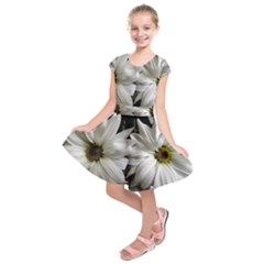 Daisies Kids  Short Sleeve Dress by bestdesignintheworld