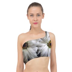 Daisies Spliced Up Bikini Top 