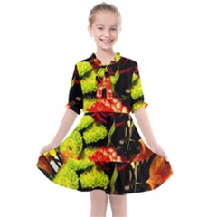 Flowers 1 1 Kids  All Frills Chiffon Dress by bestdesignintheworld