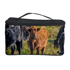 Cows At Countryside, Maldonado Department, Uruguay Cosmetic Storage by dflcprints