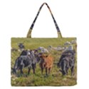 Cows At Countryside, Maldonado Department, Uruguay Zipper Medium Tote Bag View1