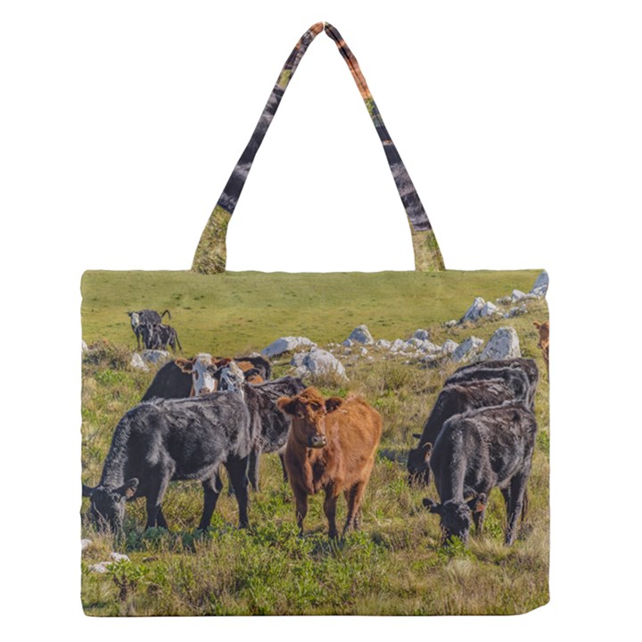 Cows At Countryside, Maldonado Department, Uruguay Zipper Medium Tote Bag