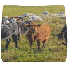 Cows At Countryside, Maldonado Department, Uruguay Seat Cushion by dflcprints