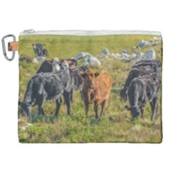 Cows At Countryside, Maldonado Department, Uruguay Canvas Cosmetic Bag (xxl) by dflcprints