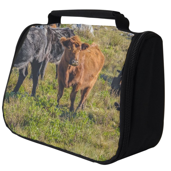 Cows At Countryside, Maldonado Department, Uruguay Full Print Travel Pouch (Big)