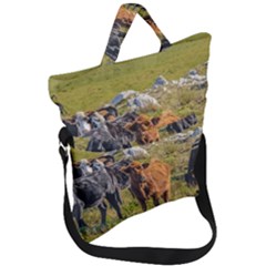 Cows At Countryside, Maldonado Department, Uruguay Fold Over Handle Tote Bag by dflcprints