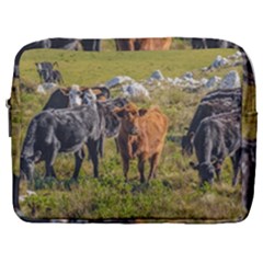 Cows At Countryside, Maldonado Department, Uruguay Make Up Pouch (large) by dflcprints