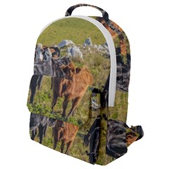 Cows At Countryside, Maldonado Department, Uruguay Flap Pocket Backpack (small) by dflcprints