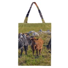 Cows At Countryside, Maldonado Department, Uruguay Classic Tote Bag by dflcprints