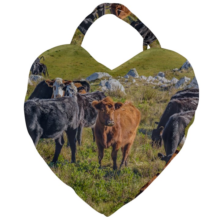 Cows At Countryside, Maldonado Department, Uruguay Giant Heart Shaped Tote