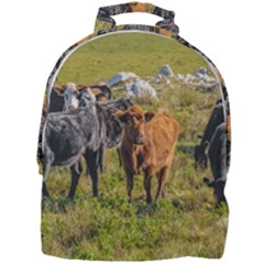 Cows At Countryside, Maldonado Department, Uruguay Mini Full Print Backpack by dflcprints