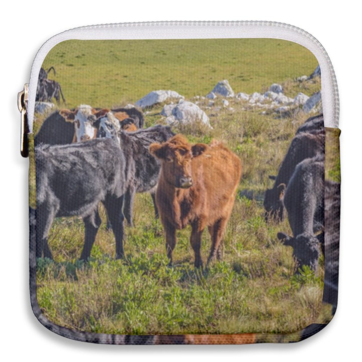 Cows At Countryside, Maldonado Department, Uruguay Mini Square Pouch