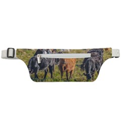 Cows At Countryside, Maldonado Department, Uruguay Active Waist Bag by dflcprints