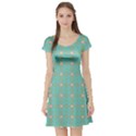 Baricetto Short Sleeve Skater Dress View1