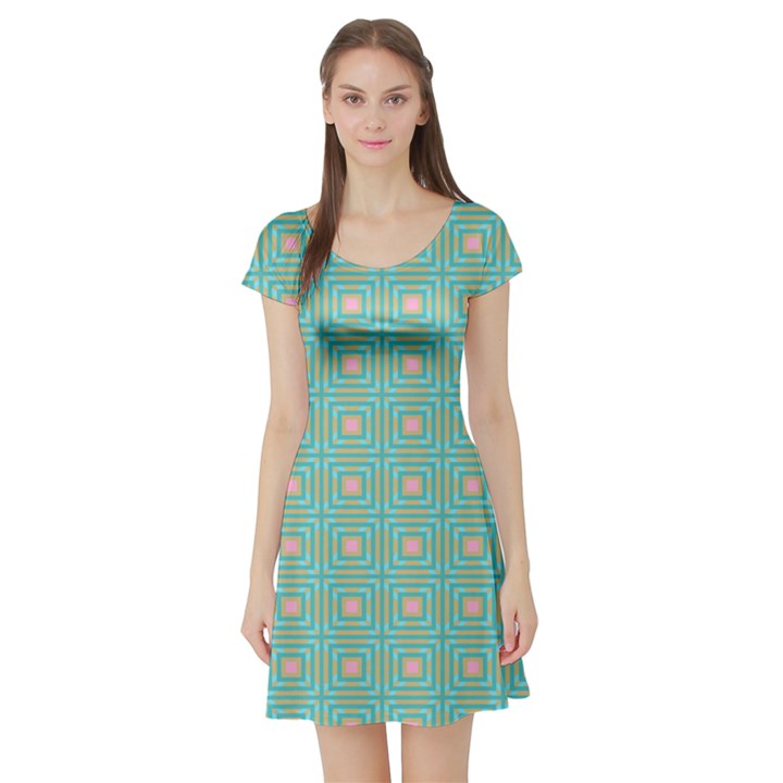 Baricetto Short Sleeve Skater Dress