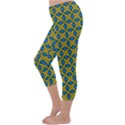 Gordium Capri Winter Leggings  View2