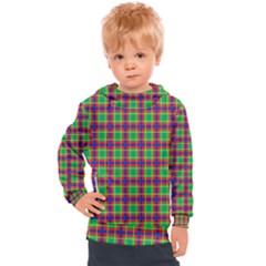 Savoy Kids  Hooded Pullover