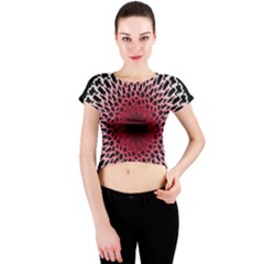 Gradient Spirograph Crew Neck Crop Top by JayneandApollo