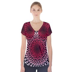 Gradient Spirograph Short Sleeve Front Detail Top by JayneandApollo