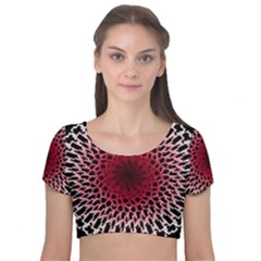 Gradient Spirograph Velvet Short Sleeve Crop Top  by JayneandApollo