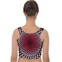 Gradient Spirograph Velvet Crop Top View2