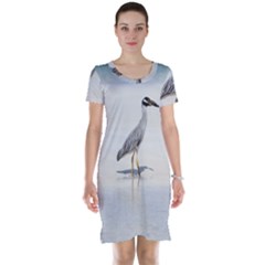 Beach Heron Bird Short Sleeve Nightdress by TheLazyPineapple